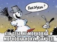  хуй тебе, не морковка, и морковка не хуй, зайчег!