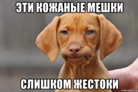 эти кожаные мешки слишком жестоки