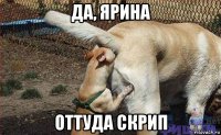 да, ярина оттуда скрип