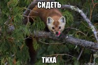 сидеть тиха