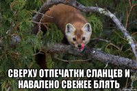  сверху отпечатки сланцев и навалено свежее блять