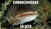 сомоизоляция за што