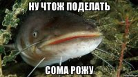 ну чтож поделать сома рожу