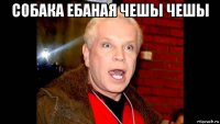 собака ебаная чешы чешы 