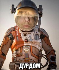  дурдом