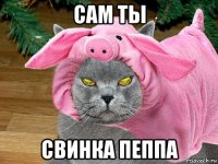 сам ты свинка пеппа