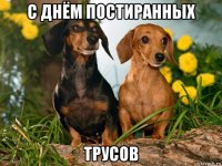 с днём постиранных трусов