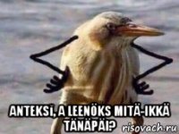  anteksĭ, a leenöks mitä-ikkä tänäpäi?