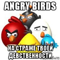 angry birds на страже твоей девственности