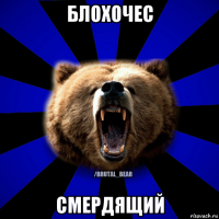 блохочес смердящий
