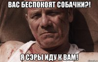 вас беспокоят собачки?! я сэры иду к вам!
