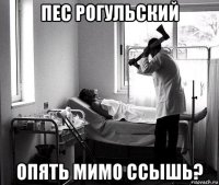 пес рогульский опять мимо ссышь?