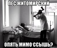 пес житомирский опять мимо ссышь?