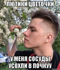 лютики цветочки у меня сосуды усохли в почкуу