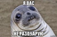 я вас не разочарую