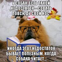 у собак, есть такой недостаток – совать повсюду свой нос. иногда этот недостаток бывает полезным, когда собака читает...