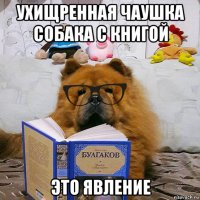 ухищренная чаушка собака с книгой это явление