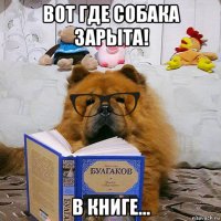 вот где собака зарыта! в книге...