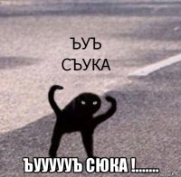  ъуууууъ сюка !.......