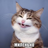  миленько