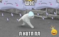 шоё л котл пл
