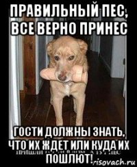 правильный пес, все верно принес гости должны знать, что их ждет или куда их пошлют!