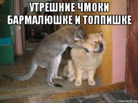 утрешние чмоки бармалюшке и толпишке 