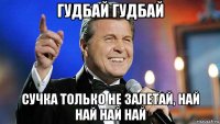 гудбай гудбай сучка только не залетай, най най най най
