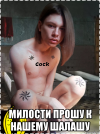 милости прошу к нашему шалашу