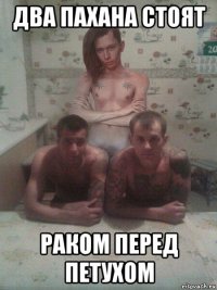два пахана стоят раком перед петухом