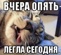 вчера опять легла сегодня