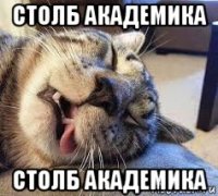 столб академика столб академика