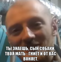  ты знаешь, сын собаки, твоя мать - гниёт и от вас воняет.