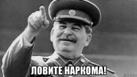  ловите наркома!