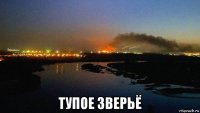  тупое зверьё