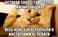 вставай скорее там толпы митингующих весь фейсбук перекрыли в инстаграмм не пройти