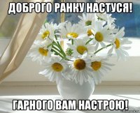 доброго ранку настуся! гарного вам настрою!