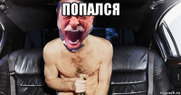 попался 