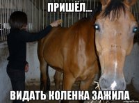 пришёл... видать коленка зажила