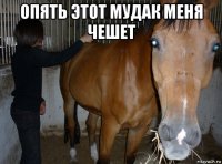 опять этот мудак меня чешет 
