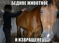 бедное животное и извращенец