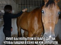  пнул бы копытом в ебало да так чтобы башка в сено на хуй отлетела