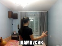  шампусик
