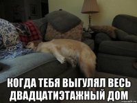  когда тебя выгулял весь двадцатиэтажный дом