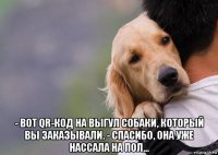 - вот qr-код на выгул собаки, который вы заказывали. - спасибо, она уже нассала на пол...