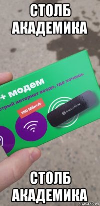 столб академика столб академика