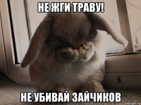 не жги траву! не убивай зайчиков