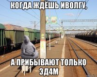 когда ждёшь иволгу, а прибывают только эд4м