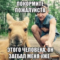 покормите пожалуйста этого человека, он заебал меня уже..