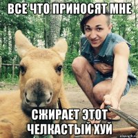 все что приносят мне сжирает этот челкастый хуй